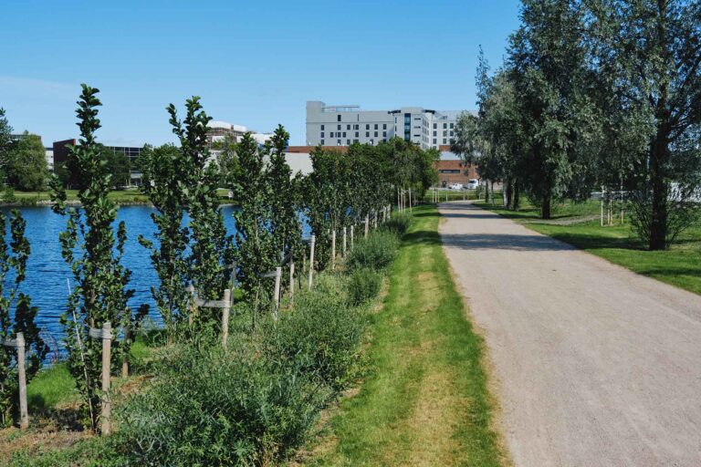 Furuholmen fjordpark. Foto: Drammen kommune.