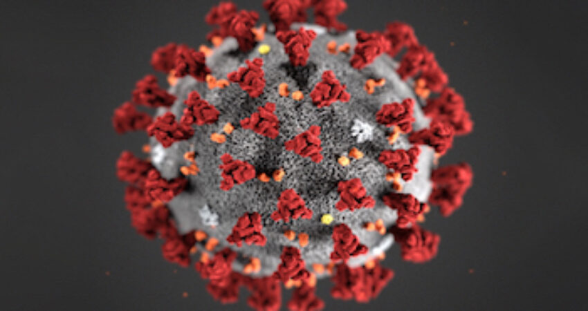 naerbilde av korona-virus